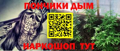 молекула духа Краснознаменск