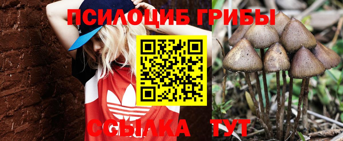 Морозовск  Галлюциногенные грибы Magic Shrooms  Псилоцибиновые грибы мухоморы  Вход с VPN 