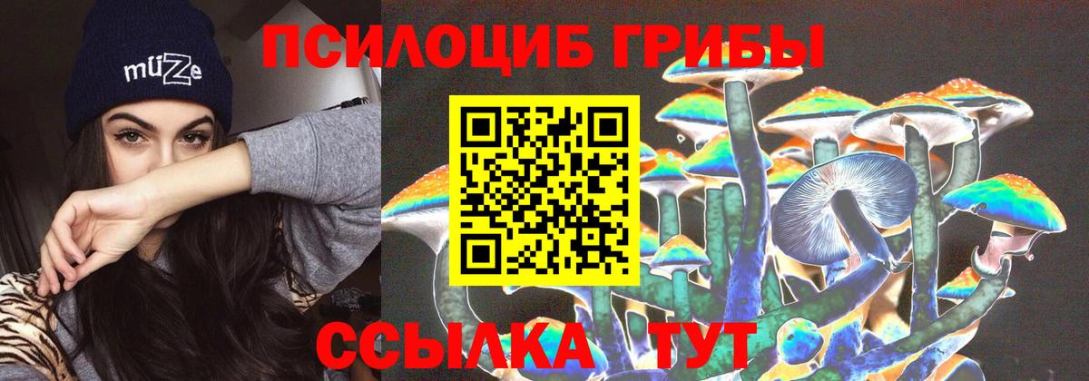 Псилоцибиновые грибы ЛСД Морозовск